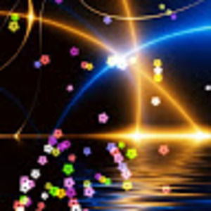 Meet your Posher, Elaine